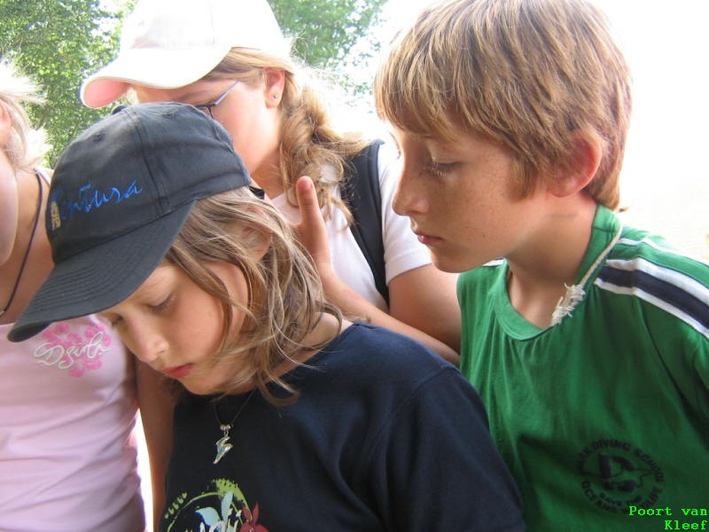 PvK 1.Lager 06   042